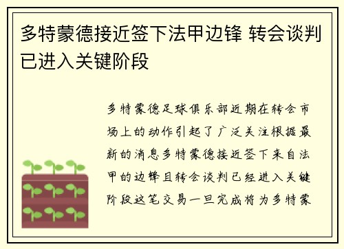 多特蒙德接近签下法甲边锋 转会谈判已进入关键阶段