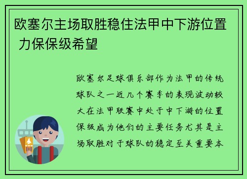 欧塞尔主场取胜稳住法甲中下游位置 力保保级希望