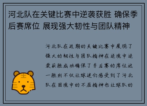 河北队在关键比赛中逆袭获胜 确保季后赛席位 展现强大韧性与团队精神