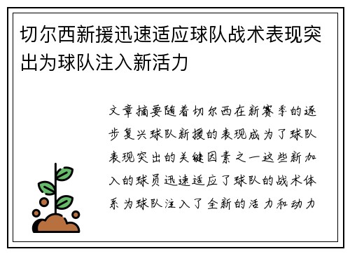 切尔西新援迅速适应球队战术表现突出为球队注入新活力