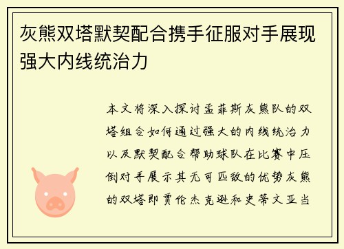 灰熊双塔默契配合携手征服对手展现强大内线统治力